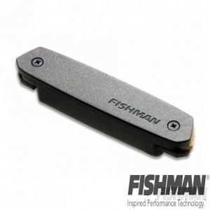 Neo-D Soundhole Pickup - Humbucking